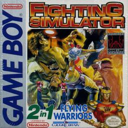 Fighting Simulator 2 in 1: Flying Warriors